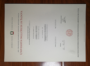 University of Padova diploma