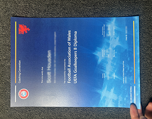 Football Association of Wales UEFA Goalkeepers B Diploma-fi