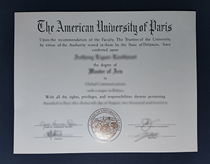 American University of Paris degree