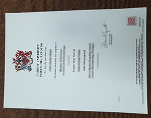 Cardiff University diploma