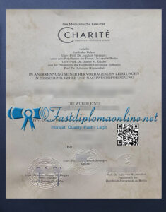 Charité Berlin University Medicine Degree