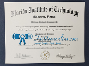 Florida Institute of Technology degree