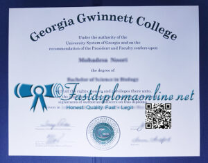Georgia Gwinnett College diploma