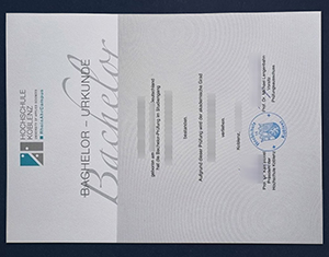 Hochschule Koblenz diploma