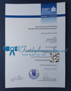 Hochschule Mittweida diploma