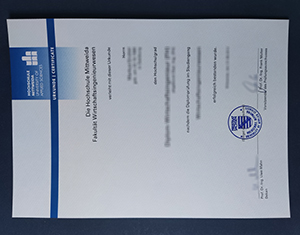 Hochschule Mittweida diploma