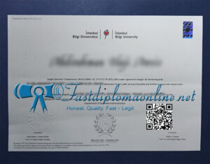 Istanbul Bilgi University diploma