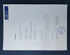 Leibniz University Hannover diploma
