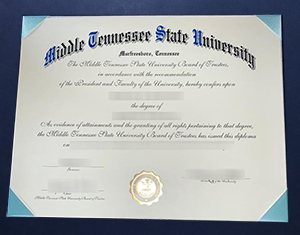 Explore Middle Tennessee State University’s diploma solutions online