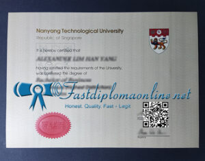 Nanyang Technological University diploma