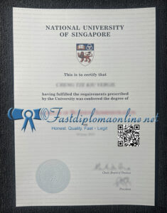 National University of Singapore diploma