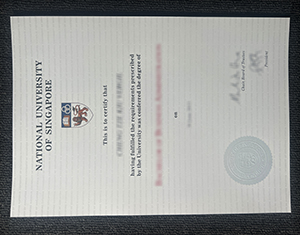 National University of Singapore diploma