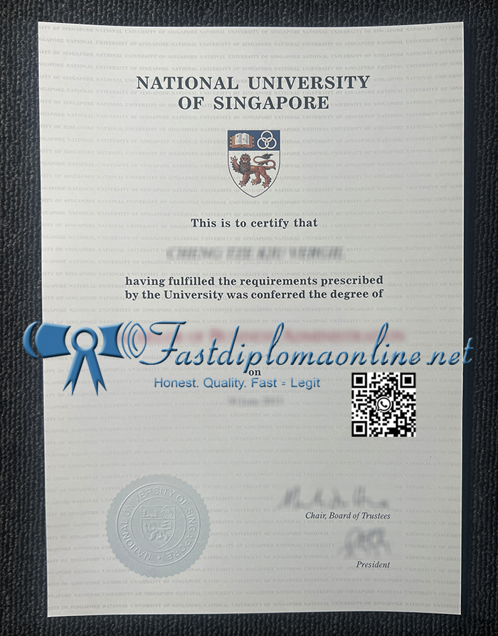 National University of Singapore diploma