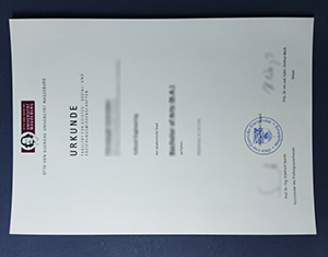 Otto von Guericke University Magdeburg diploma