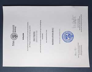 Philipps University of Marburg diploma
