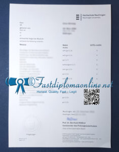 Reutlingen University transcript