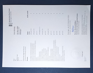 Reutlingen University transcript