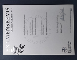 Stockholm University degree