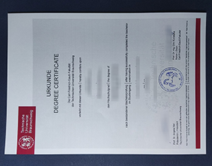 Technical University of Braunschweig diploma