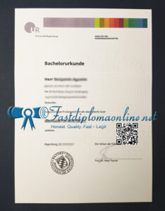 Universität Regensburg degree