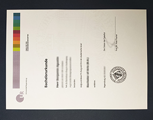 Universität Regensburg degree