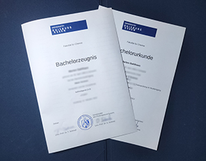 University of Duisburg-Essen diploma