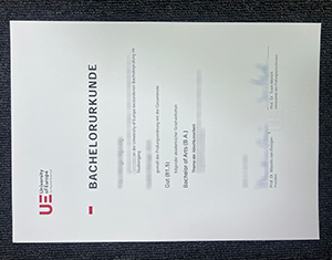 University of Europe for Applied Sciences degree