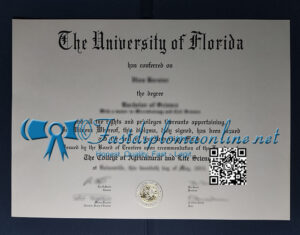 University of Florida diploma
