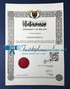 University of Malaya degree