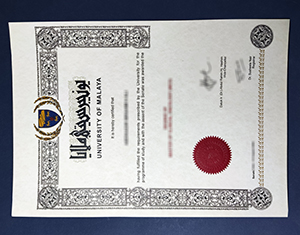 University of Malaya degree