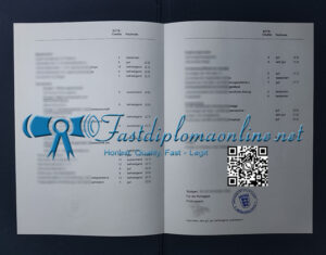 University of Stuttgart transcript