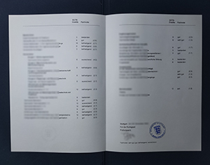 University of Stuttgart transcript
