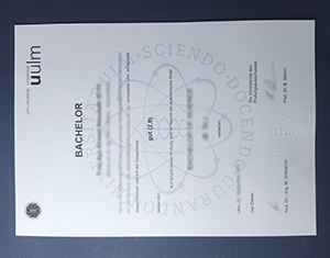 University of Ulm diploma