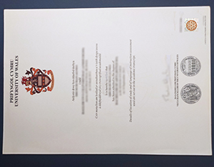 University of Wales degree