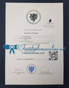 University of Wuppertal diploma