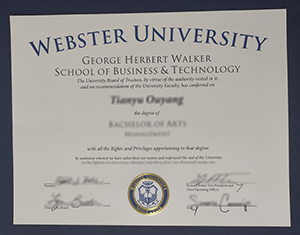 Webster University degree